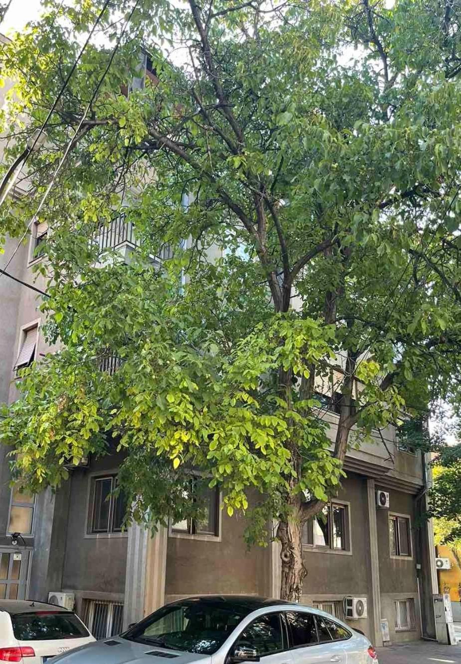 Urban Stay Scopia Exterior foto